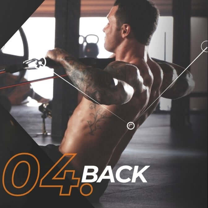 Exercise library image showing a muscular man exercising with focus on arms, labeled '04 Back Muscle'.