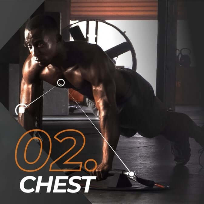 Exercise library image showing a muscular man exercising with focus on chest and pectoral muscles, labeled '02. Chest'.